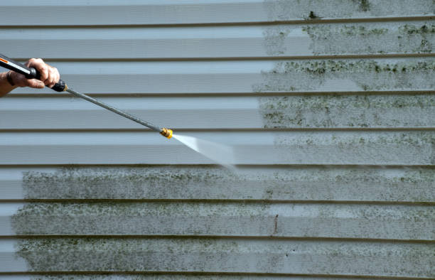 Best Commercial Building Pressure Washing  in Ridgway, CO