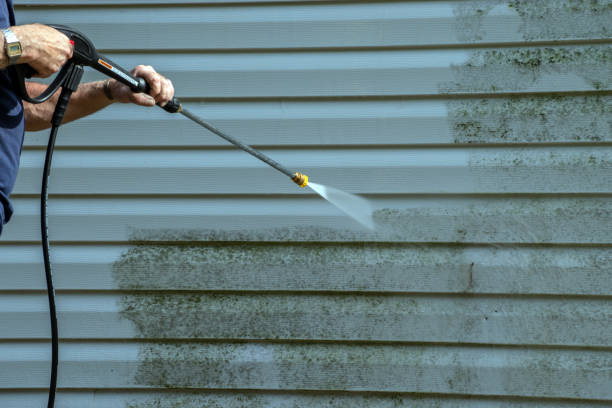 Best Deck Pressure Washing  in Ridgway, CO