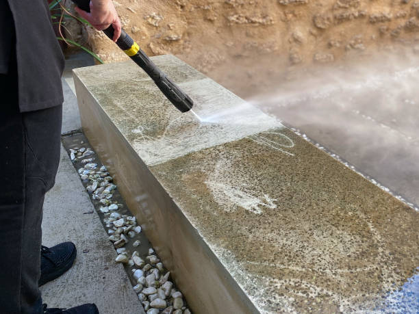 Best Roof Power Washing Services  in Ridgway, CO