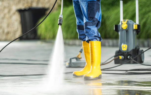 Best Pressure Washing Near Me  in Ridgway, CO