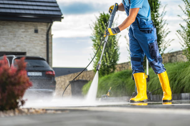 Best Roof Pressure Washing  in Ridgway, CO
