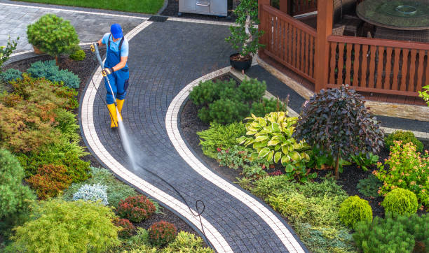Best Pressure Washing Company Near Me  in Ridgway, CO